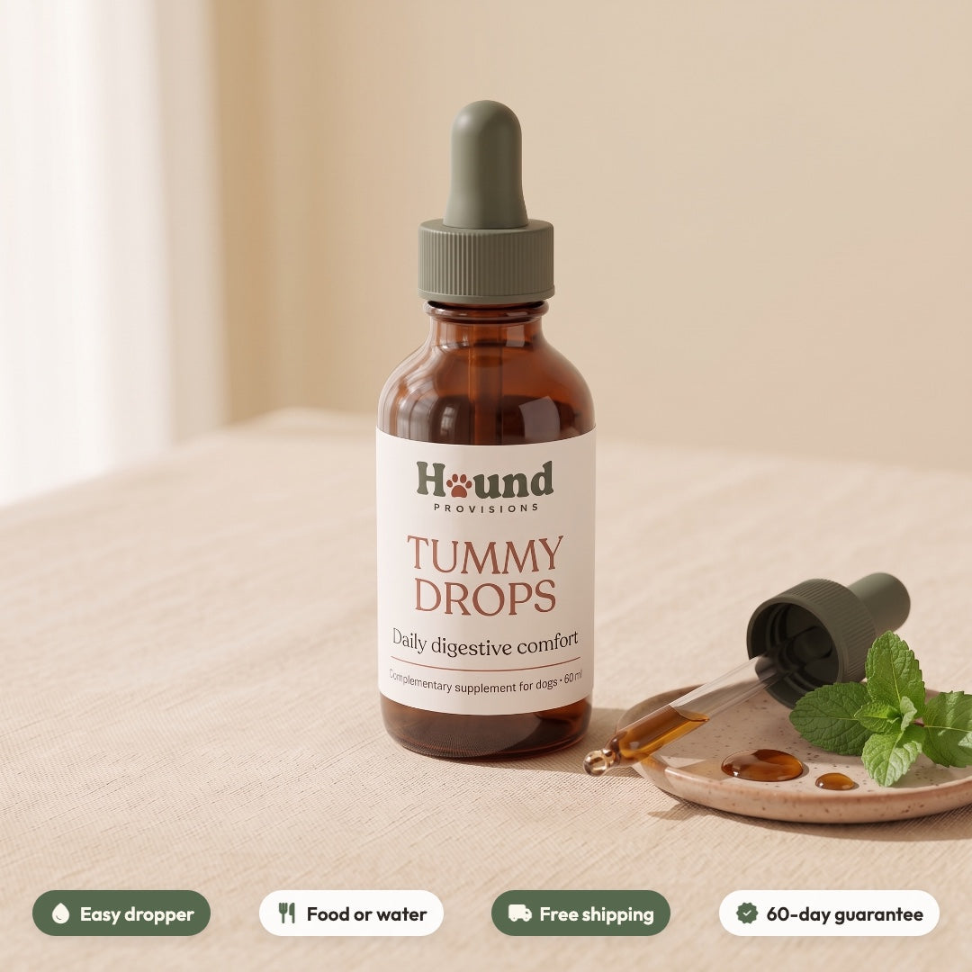 Tummy Drops for Dogs