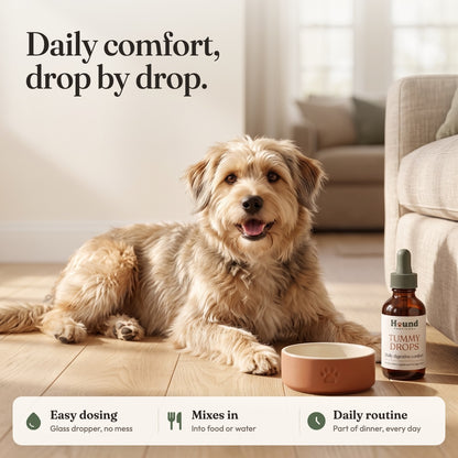 Tummy Drops for Dogs