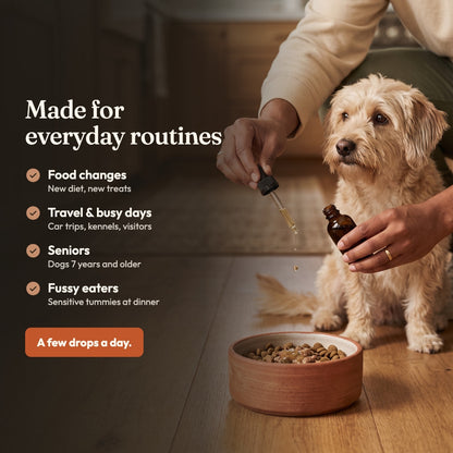 Tummy Drops for Dogs