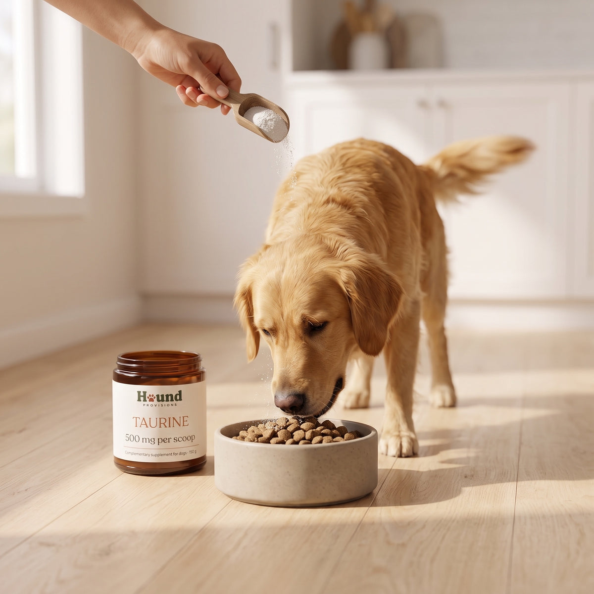 Taurine Powder for Dogs