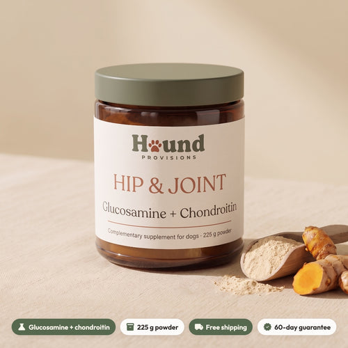 Hip & Joint Powder for Dogs
