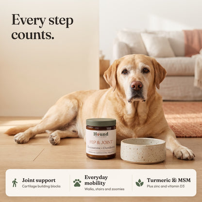 Hip & Joint Powder for Dogs