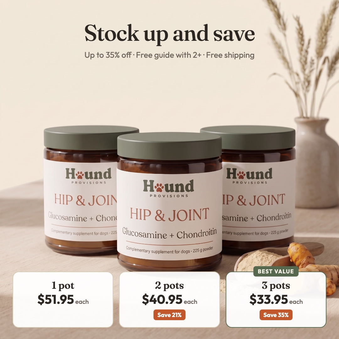 Hip & Joint Powder for Dogs