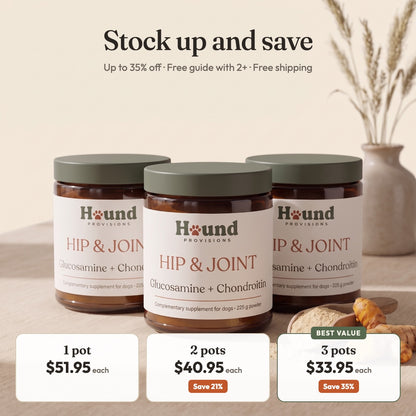 Hip & Joint Powder for Dogs