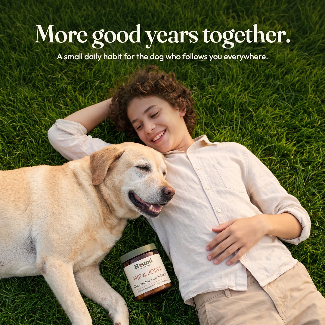 Hip & Joint Powder for Dogs