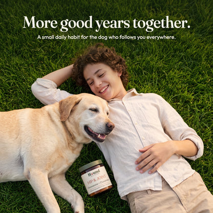 Hip & Joint Powder for Dogs