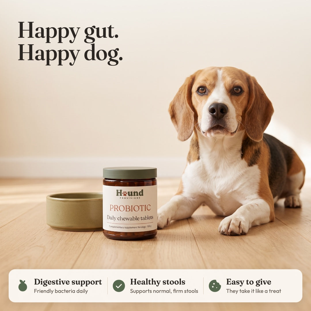 Probiotic Chewable Tablets for Dogs