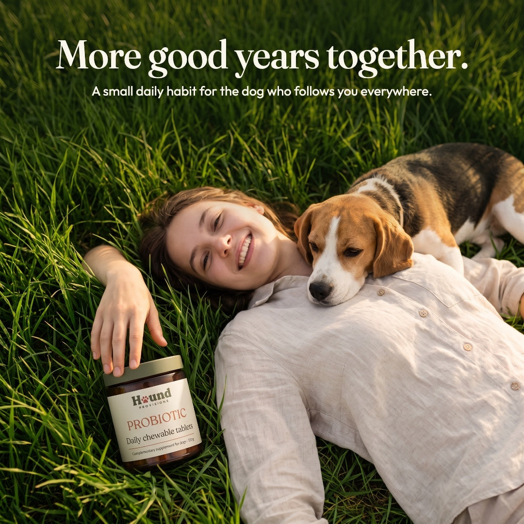 Probiotic Chewable Tablets for Dogs