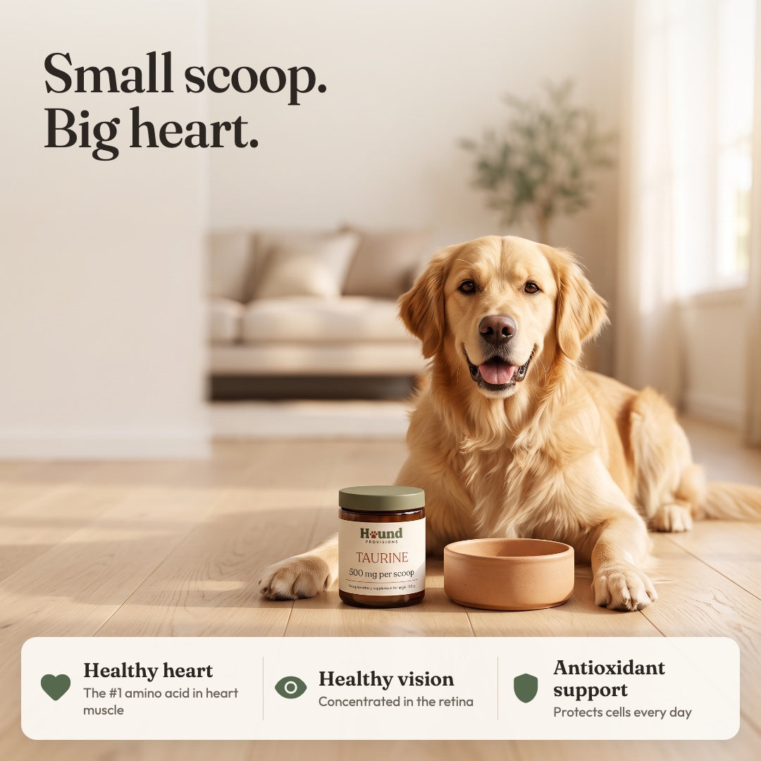 Taurine Powder for Dogs
