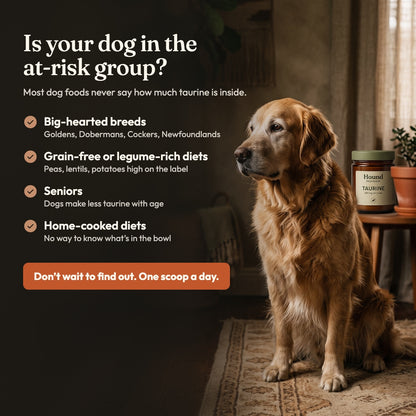 Taurine Powder for Dogs