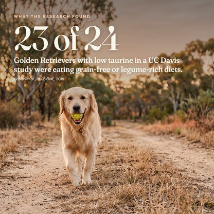 Taurine Powder for Dogs