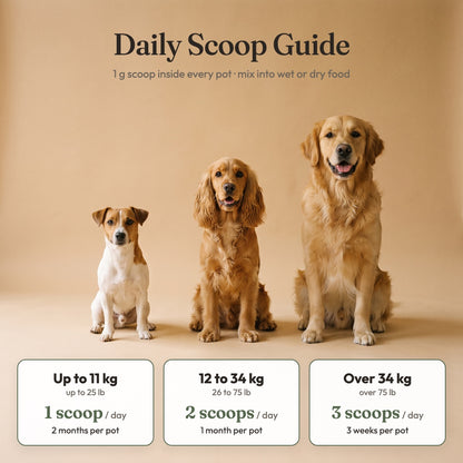 Taurine Powder for Dogs