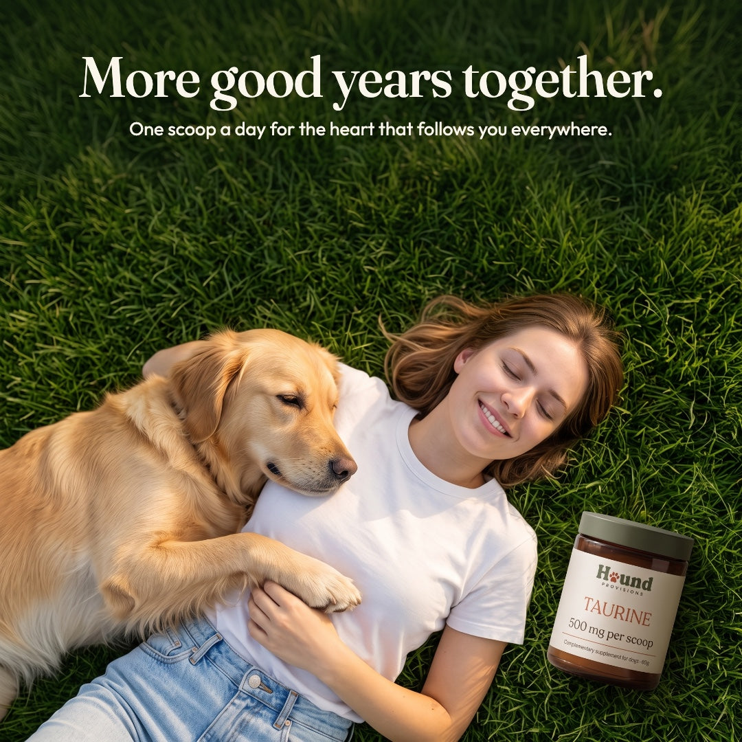 Taurine Powder for Dogs